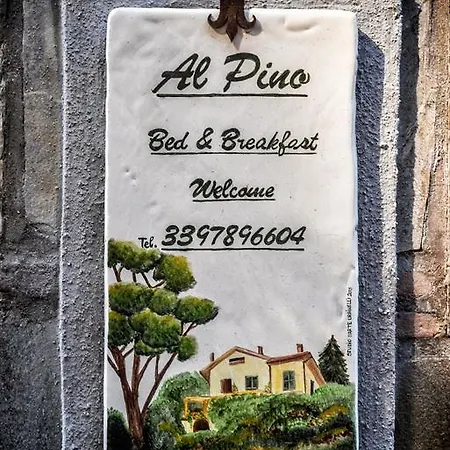 Bed & Breakfast Al Pino Grottaferrata