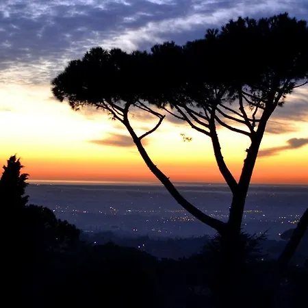 Bed & Breakfast Al Pino Grottaferrata