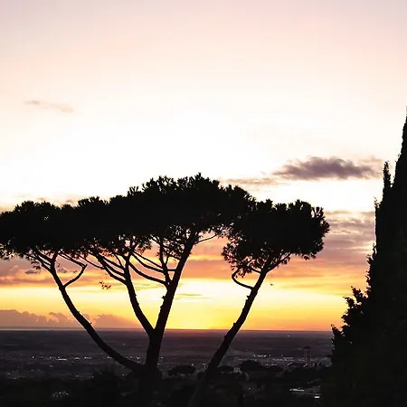 Al Pino Bed & Breakfast Grottaferrata